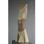 Jerzy Fober, DISCUSSION