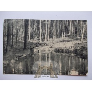 Rybnik, forest pond, 1913