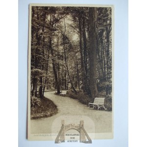Jastrzębie Zdrój, roh v parku, 1934