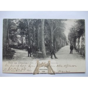Otmuchow, Ottmachau, Park, 1901