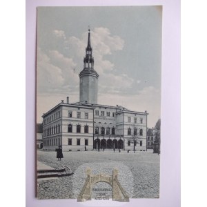 Strzelce Opolskie, Gross Strehlitz, radnica, asi 1910