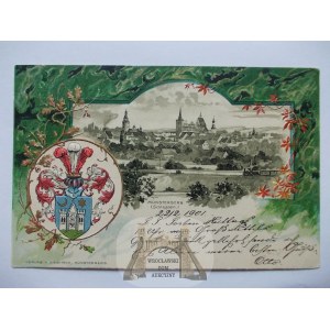 Ziębice, Munsterberg, panorama, tłoczony herb, piękna, 1901