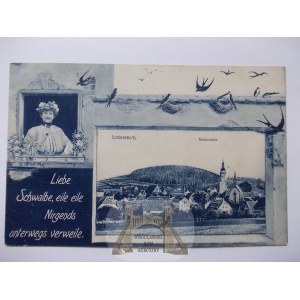 Sulików, Schonberg, panorama, kobieta, kolaż, 1909