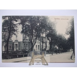 Szprotawa, Sprottau, ulica Wilhelma, 1915