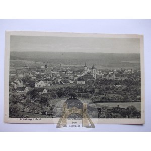 Zielona Góra, Grunberg, Rundblick, ca. 1922