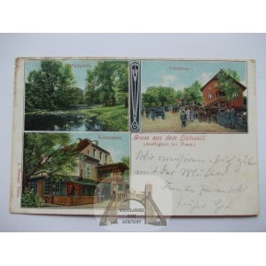 Poznan Dębina, restaurace, lesovna, 1907