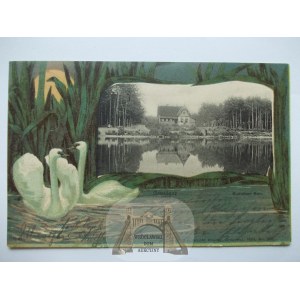 Grudziądz, Graudenz, jezioro, łabędzie, kolaż, 1902