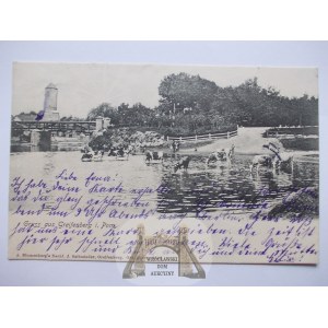 Gryfice, Greifenberg, řeka, krávy, 1906