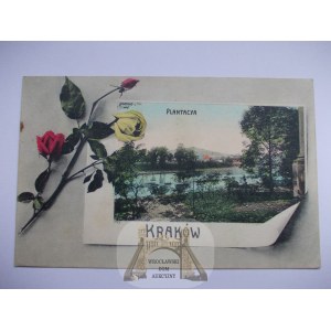 Krakow, Plantacyja, flowers, collage, 1909