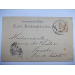 Krakov, hrad Wawel, Vorlaufer pred rokom 1896