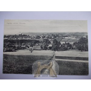 Olkusz, panorama, asi 1910