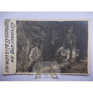 Ukrajina, Trembowla, prvá vojna, ťažba dreva, 1917