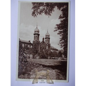 Judaika, Żydzi, synagoga, Pilzno, Plzen, Pilsen, 1933