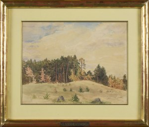 Józef SZERMENTOWSKI, Pejzaż z sosnowym lasem