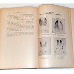 KAMOCKI - PRÍRUČKA POĽOVNÍCTVA vydaná v roku 1927