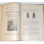 KAMOCKI - HANDBUCH DER JAGD, veröffentlicht 1927