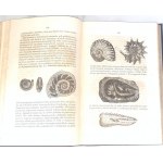 DZIEKOŃSKI-THE WONDERS OF THE FIRST WORLD or THE COLLECTION OF EVERYTHING published 1857. 237 woodcuts