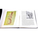 CORNISCH- WORLD OF ANIMALS Volume I-II hundreds of illustrations PUGET COVER.