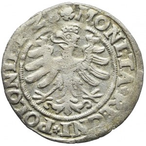 Zikmund I. Starý, Grosz 1528, Krakov, hvězdy