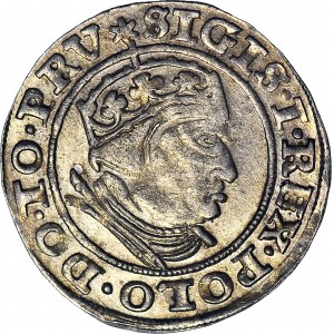 Sigismund I the Old, Grosz 1540 Gdansk, PRV, minted
