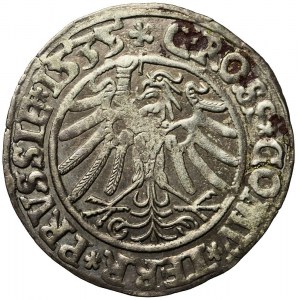 Sigismund I the Old, 1535 penny, Torun, PRVSSI/PRVSSIE, nice
