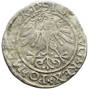 Sigismund II Augustus, Half-penny 1561, Vilnius