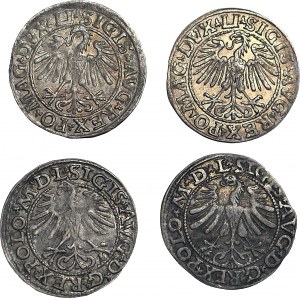 zestaw 4 szt., Zygmunt II August, Półgrosze 1547, 1548, 1564, 1565, Wilno