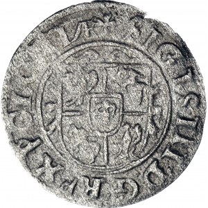 RR-, Zygmunt III Waza, Szeląg 1625-7, Bydgoszcz dwa awersy, jednostronny