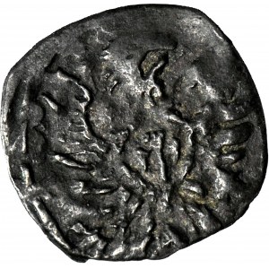 RR-, Zikmund III Vasa, denár 1613, Poznaň, velmi vzácný