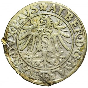 Kniežacie Prusko, Albrecht Hohenzollern, Grosz 1534, Königsberg