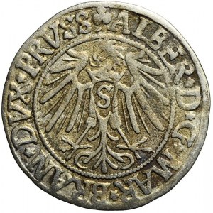 Knížecí Prusko, Albrecht Hohenzollern, Grosz 1542, Königsberg