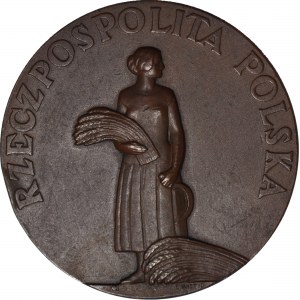 Medal 1926, Ministry of Agriculture and State Property - For Work and Merit, 3rd class - bronze.