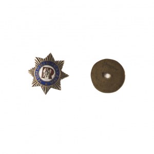 Ehren- und Vaterlandsabzeichen der Union der Reservisten