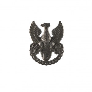 Eagle with wavy lower edge of amazon shield