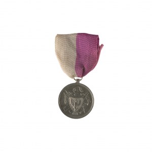 Medal Towarzysz Broni 1863/4