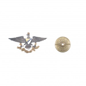 Kopia. Odznaka pamiątkowa 27 Pułk Ułanów - Nieświerz