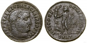 Roman Empire, follis, 313, Heraclea