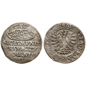 Polsko, penny, 1529, Krakov