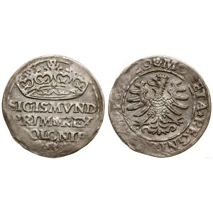 Poľsko, penny, 1529, Krakov