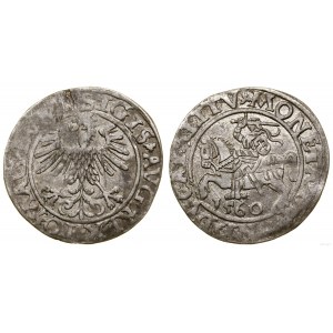 Polska, półgrosz, 1560, Wilno