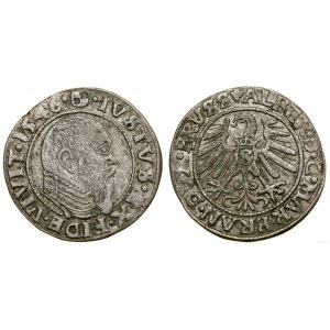 Kniežacie Prusko (1525-1657), groš, 1546, Königsberg