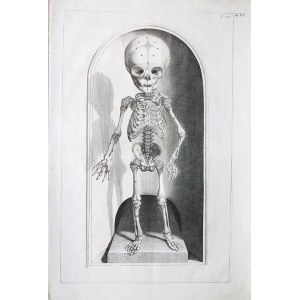 Abraham Blooteling (1640-1690) According to Gérard De Lairesse (1640-1711), FOETUS NOVEM CIRCITER MENSIUM SCELETI ANTERIOREM /FONTAL VIEW OF THE SCELET ABOUT THE 9 MONTH FATHER/, 1685