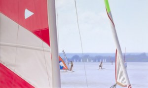 Katarzyna Domańska (ur. 1972 ), Sail, 2009