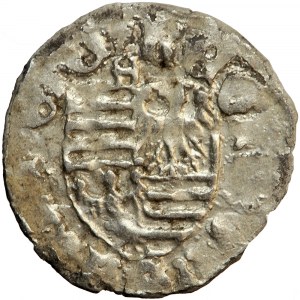 Uhersko, Zikmund Lucemburský, denár, 1390-1427, mincovna neurčena.