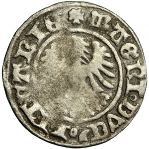 Litauen, Alexander, halber Pfennig n.d. (1495-1506), Vilnius