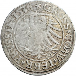 Polen, Sigismund I. der Alte, Königliches Preußen, Pfennig 1534, Männer. Toruń