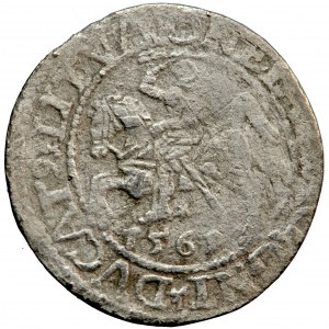 Lithuania, Sigismund Augustus, half-penny 1561, Vilnius