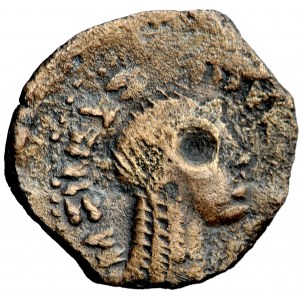 Řecko, Ptolemaiovské království, Ptolemaios V. Epifanes (?), křída 204-280 př. n. l., Kyréna