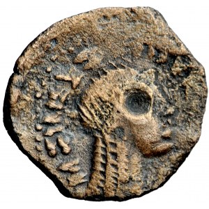 Grecja, Królestwo Ptolemeuszy, Ptolemeusz V Epifanes (?), chalk 204-280 przed Chr., Cyrena