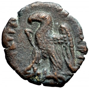 Grecja, Królestwo Ptolemeuszy, Kleopatra III I Ptolemeusz IX Soter II (Lathyros), hemichalk (?) 116-107 przed Chr., Cyrena